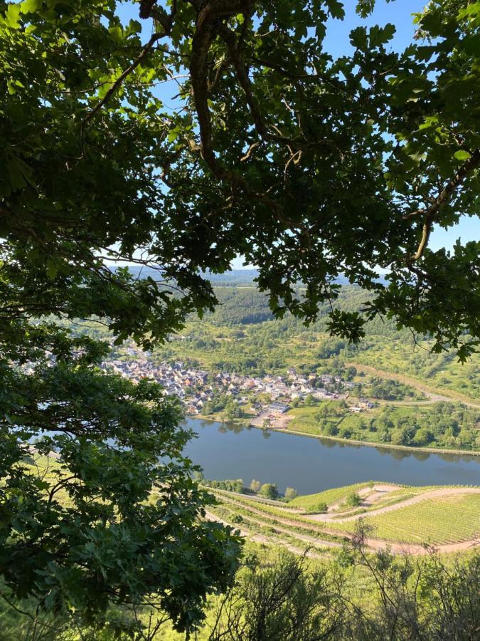 Ferienwohnungen Und Gaestezimmer Peter Busch Bernkastel-Kues Eksteriør bilde